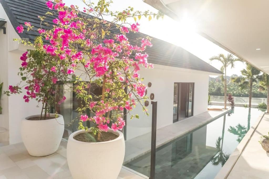Villa Hakem Elegant And Modern 4 Bedrooms Villa Pool View Canggu  Exterior photo